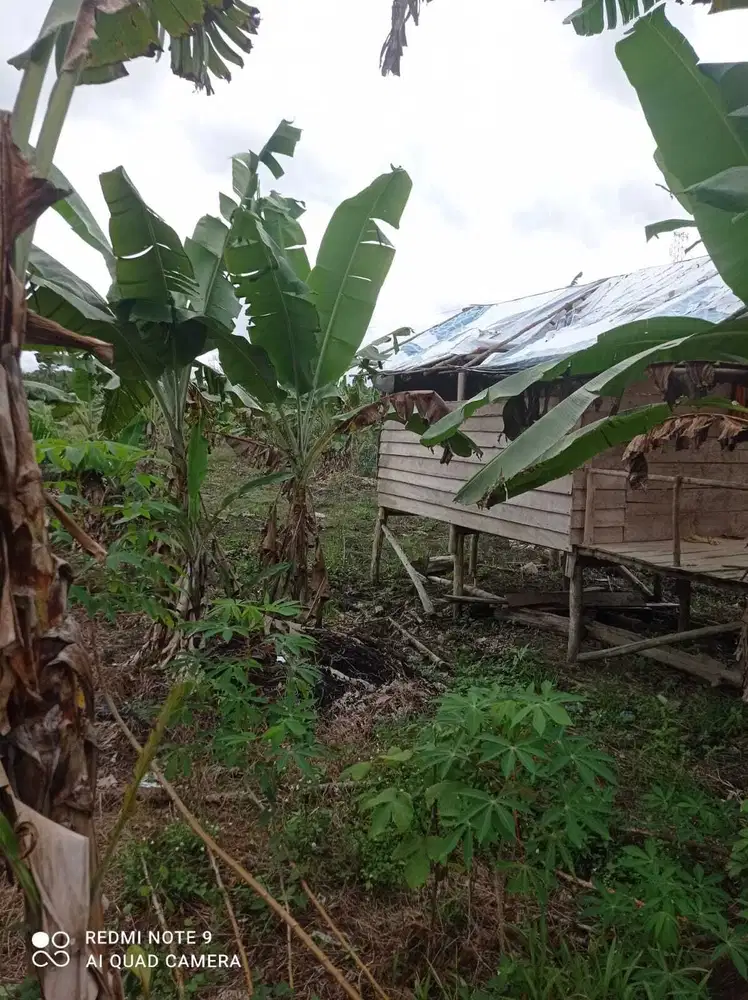 DIJUAL TANAH JALAN TANJUNG API API KM 57 TELUK PAYO BANYUASIN