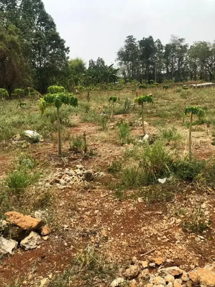 Jual Kavling Strategis Dekat Tol di Cibubur.