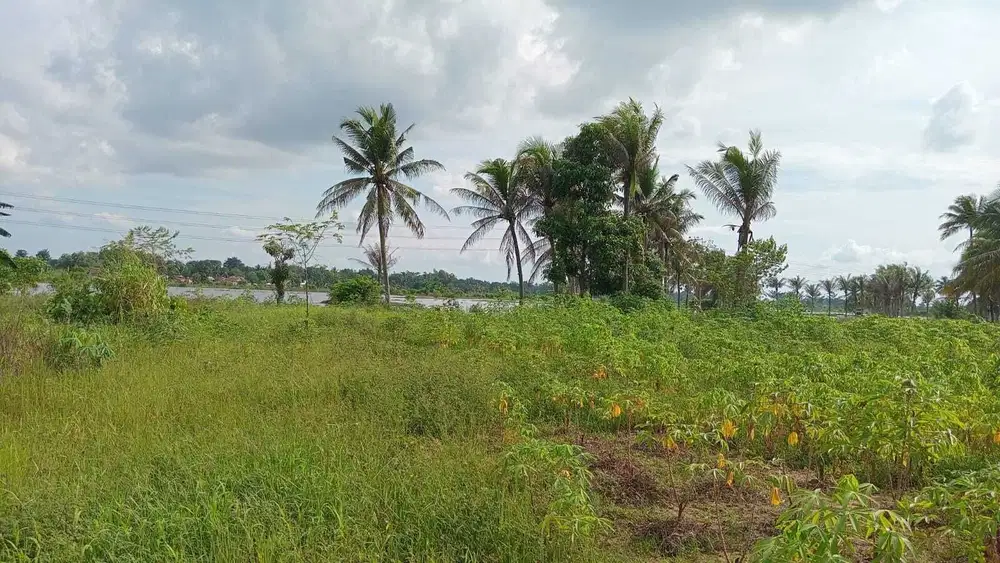 DIJUAL TANAH JALAN TALANG PUTRI SUNGAI PINANG BANYUASIN