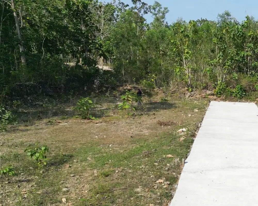 Tanah Dekat Samsat Kulon Progo Terbaru 1 Jutaan