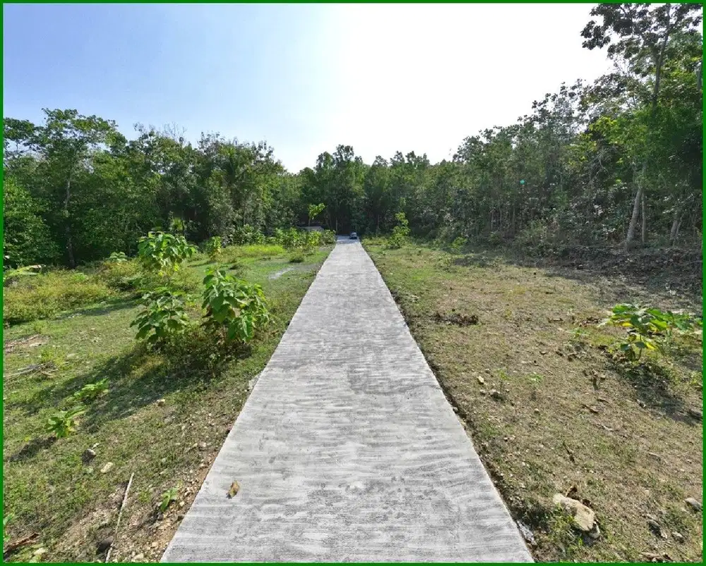 Dekat Stasiun Wates, Tanah Kulon Progo Untuk Rumah