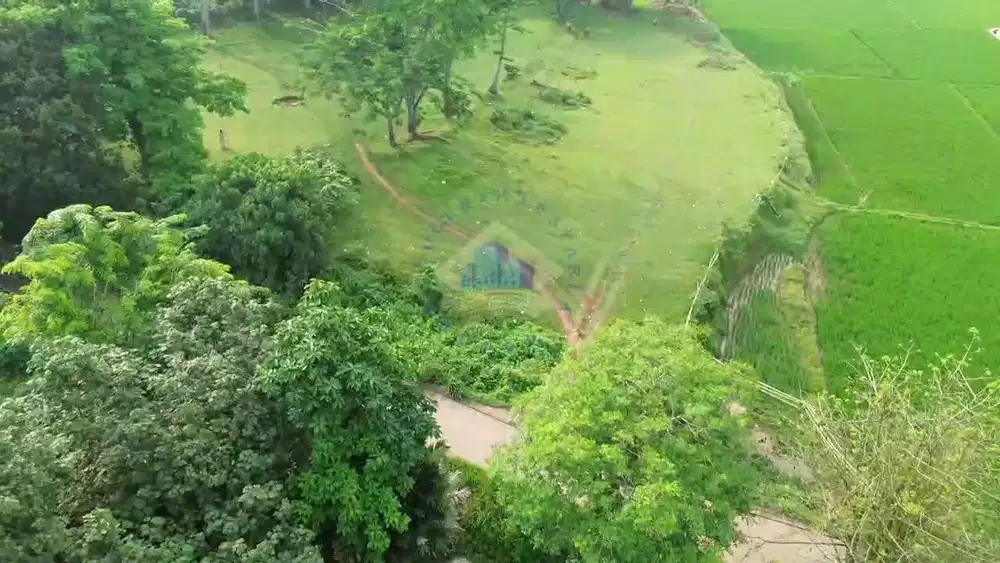 Jual Tanah Murah dekat BSD di Mekarwangi - Cisauk