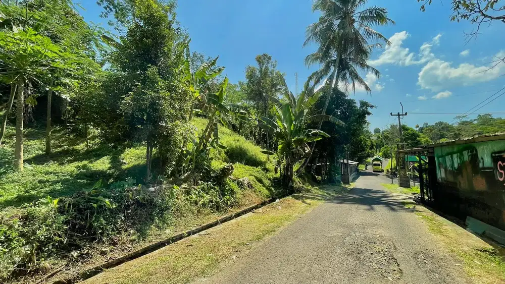 Tanah Kebun 1100 m2 Lokasi Strategis Wanayasa Purwakarta Dijual Murah