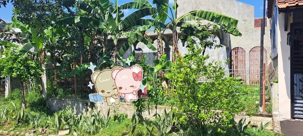 Dijual Cepat Harga NJOP 7 Jutaan Tanah Kavling Di Bogor Baru