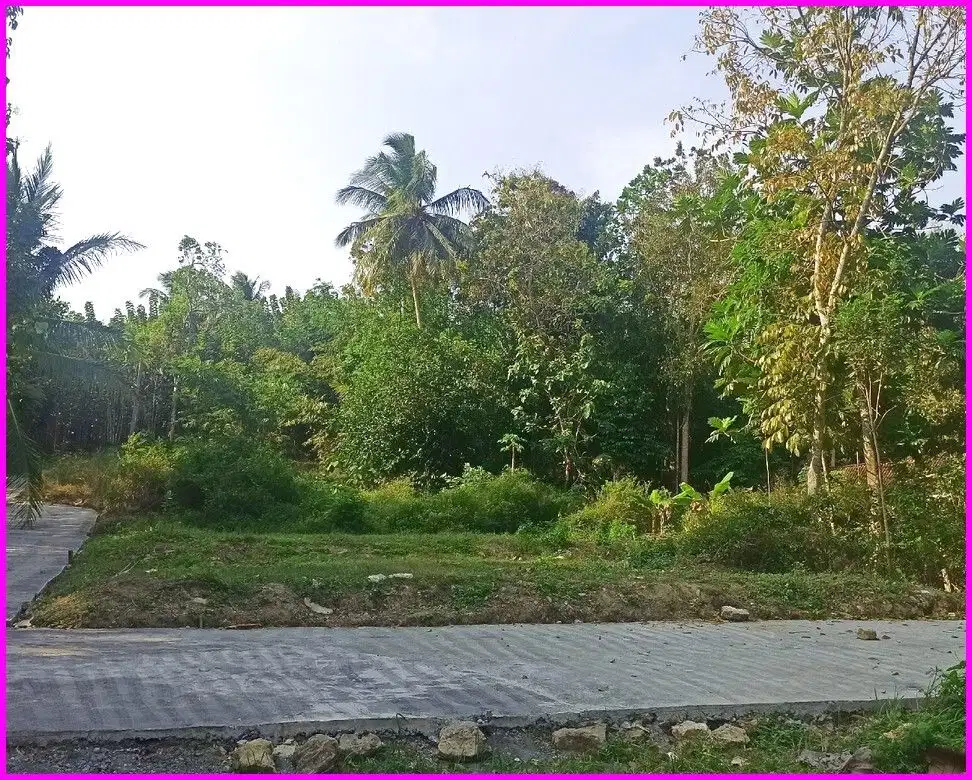 Jl. Nagung-Brosot Kulon Progo, Tanah Dekat Polsek Panjatan Untuk Rumah