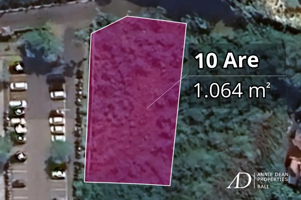FREEHOLD LAND IN THE PRIME SEMINYAK AREA (10.64 ARE)