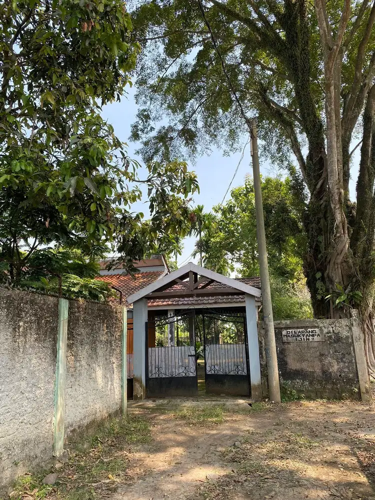 Tanah Kebun Di Bojong Kecamatan Kemang 1 Jutaan Cocok Buat Cluster