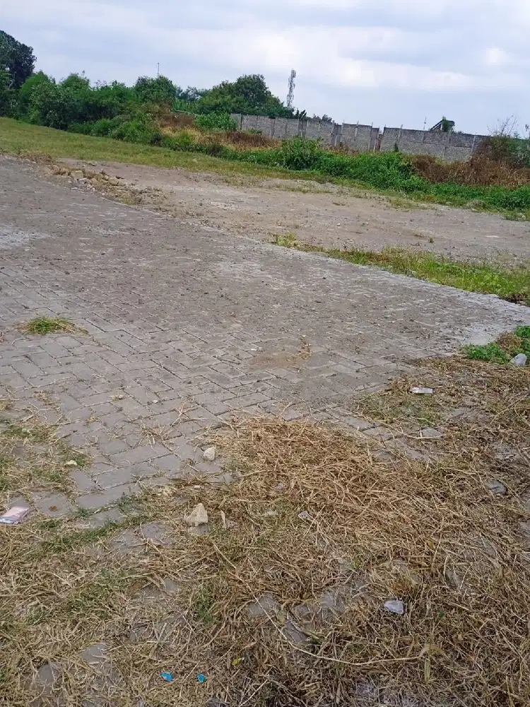 Legalitas SHM Tanah Dekat Jl. Kabupaten Lokasi Strategis Sleman	Spesi