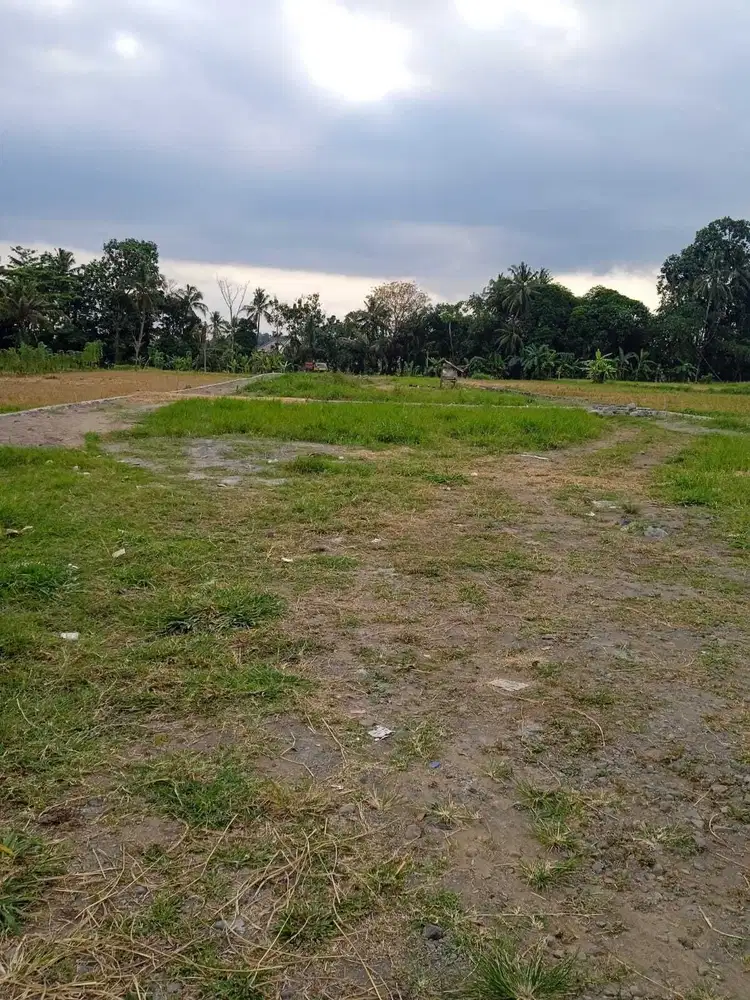 Tanah Pandanaran Siap Bangun; Pinggir Jalan; SHM