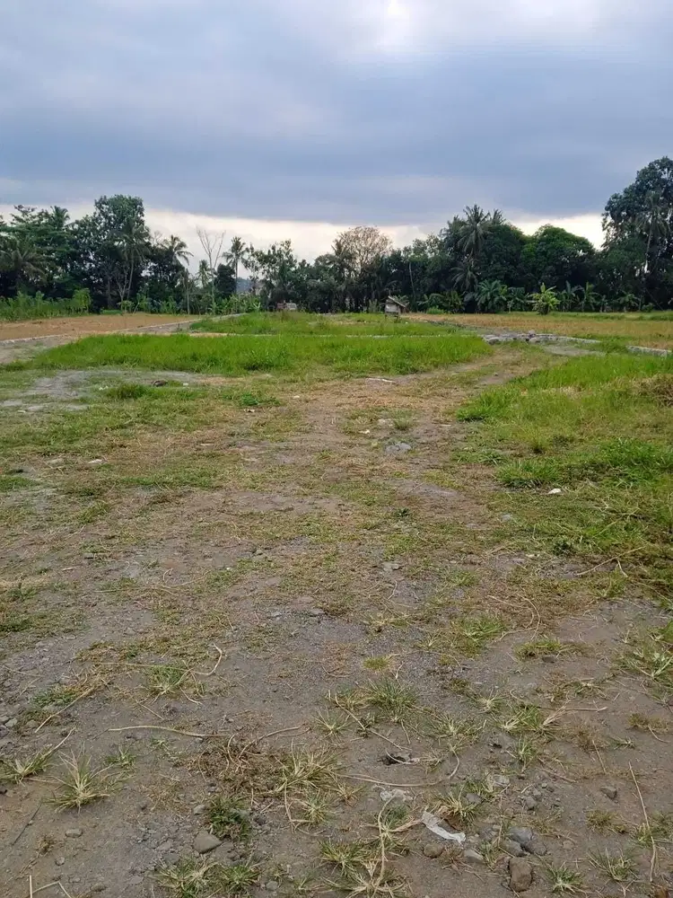 Tanah Asri di Pandanaran Ngaglik Sleman-Akses Pinggir Jalan