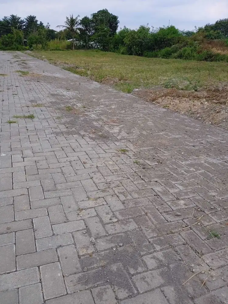 20 Menit dari Titik Nol KM; Tanah Kavling Trihanggo Siap Bangun