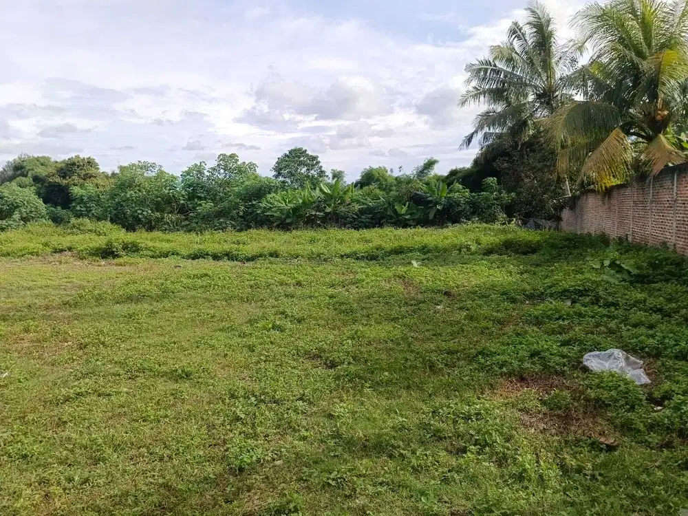 Tanah di panongan Citra Raya Tangerang 2,5jt nego