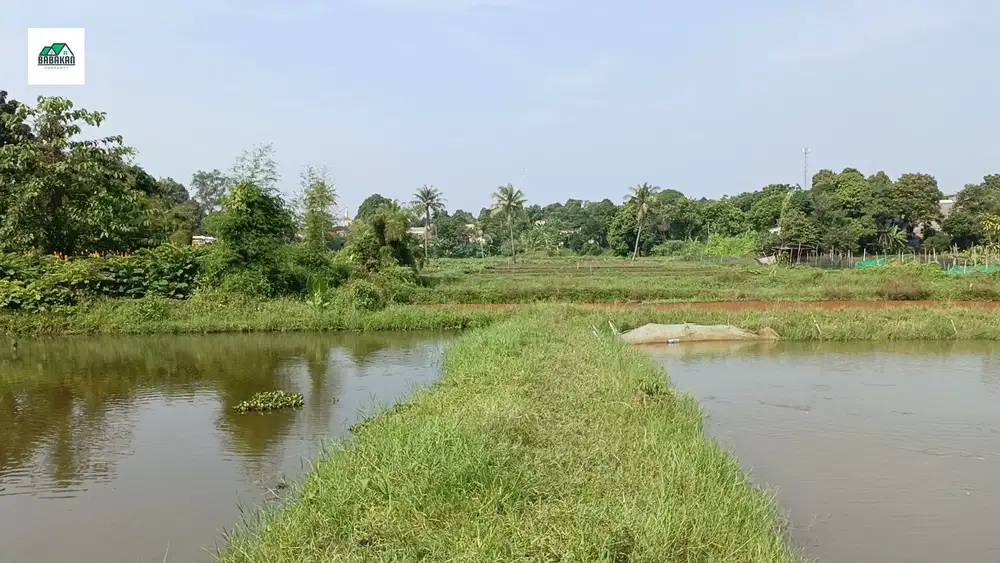 Tanah dijual di Babakan Ciseeng Bogor