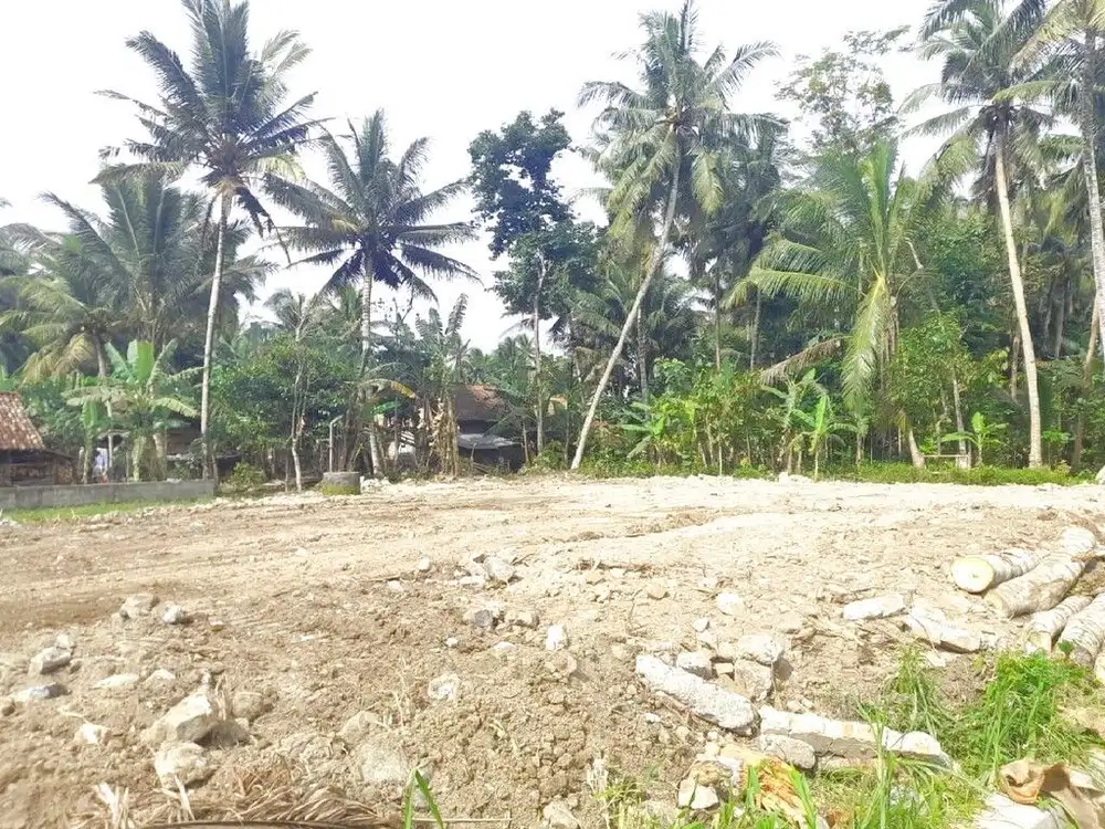 Temon Kulon Progo, Tanah Murah Jogja Dekat Bandara Yia