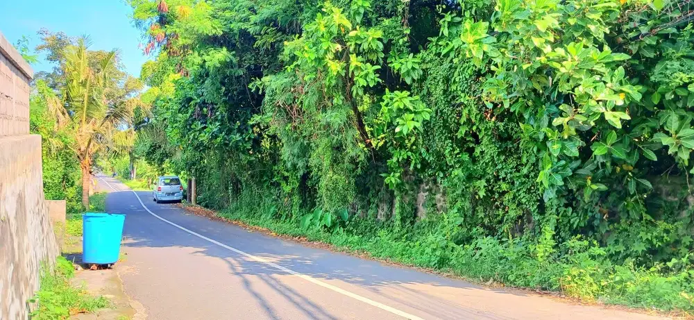 Tanah Zona Pariwisata Jl Pantai Purnama Gianyar Bali