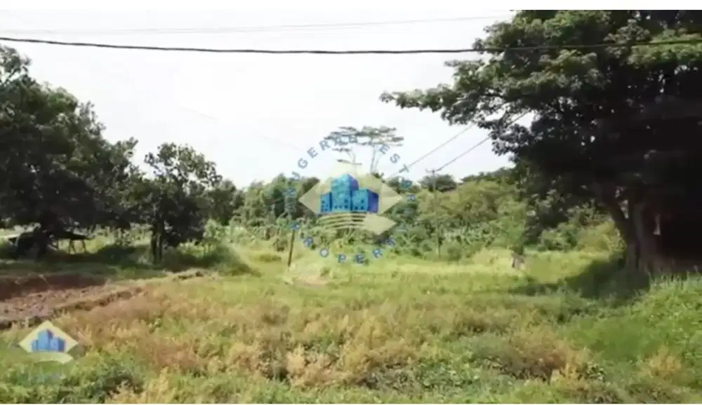 Jual Tanah di Cemplang, Jl Raya Rangkas Bitung-Cikande, Serang, Banten