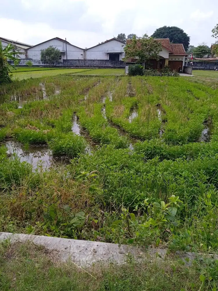 Tanah Berbah Pinggir Jalan; SHM-Pekarangan-Akses Jalan 2 Mobil Papasan