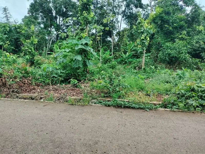 Di Jual Tanah di Mekarwangi Cisauk Tangerang Banten