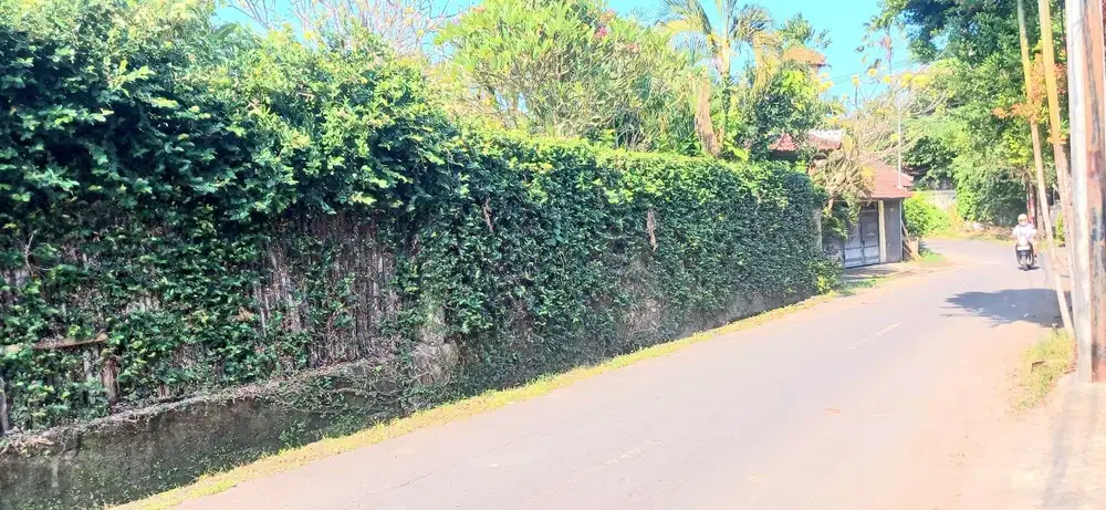 Tanah Di Umalas Kerobokan Zona Pariwisata Dkt Seminyak,Batu Belig Bali