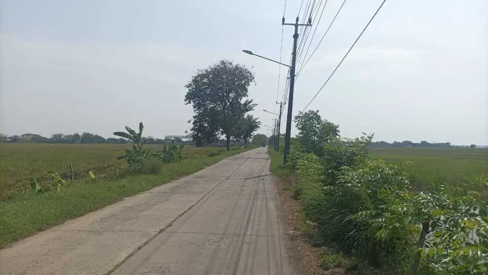 Tanah 100 ha Zona Industri di Cabang bungin kab Bekasi