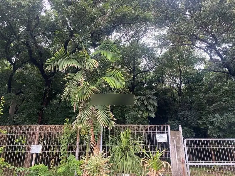 Dijual Tanah di Kelapa Gading Pegangsaan II