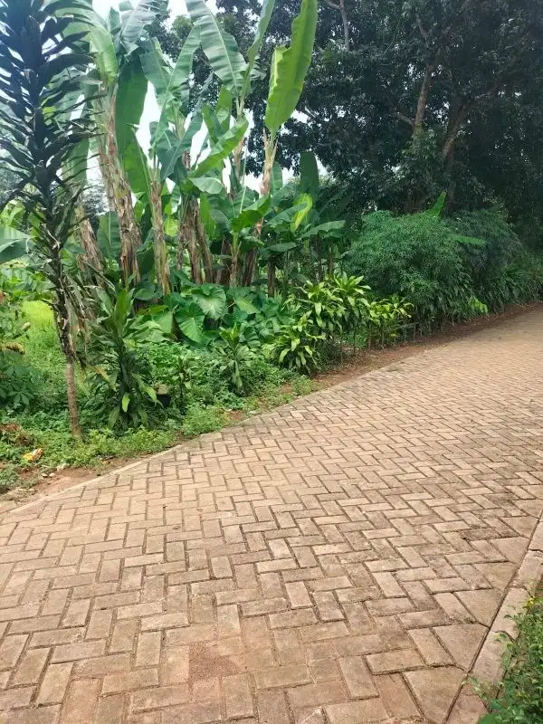 Di Jual Tanah komersial di Jaha Kiray Jatake Legok Tangerang Banten