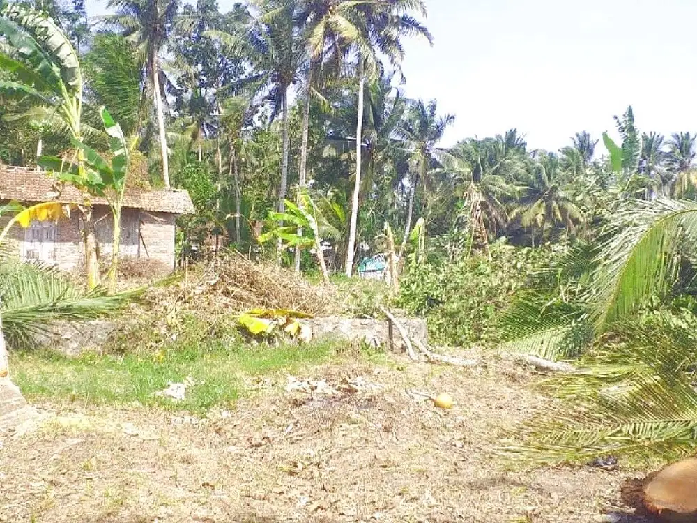 Temon Kulon Progo, Dijual Tanah Jogja Dekat Bandara YIA