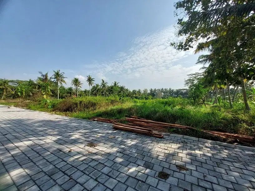 Tawangsari Kulonprogo - Tanah Murah Jogja Dekat Polsek Sentolo