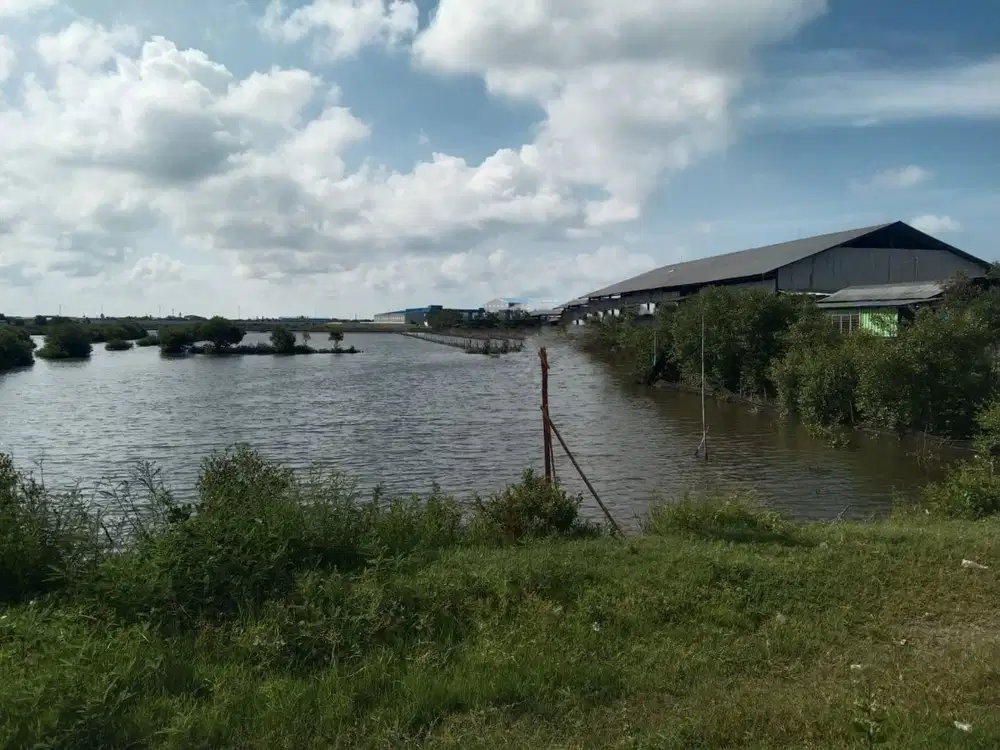 Tanah Pertanian Luas 39.378m² Tambak Zona Industri di Kendal