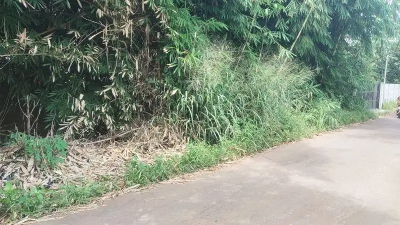 Di jual Tanah di Situ gadung Pagedangan Tangerang