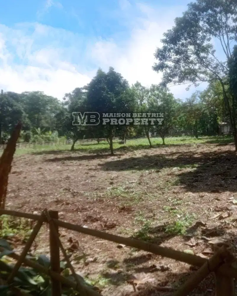 TANAH LUAS COCOK UNTUK BERKEBUN, BERTERNAK DAN SAUNG IKAN DI RUMPIN