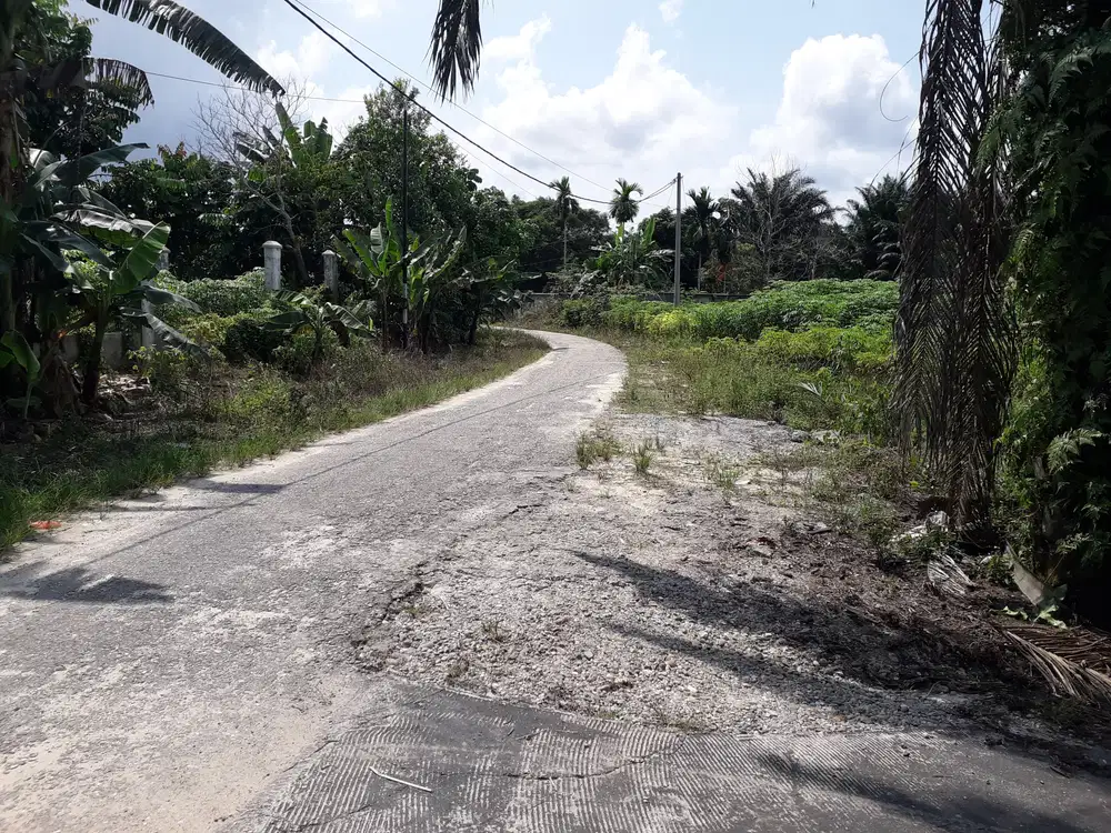 Tanah 1,1ha 100m dari jl Raya Lintas timur km 17 kulim Pekanbaru