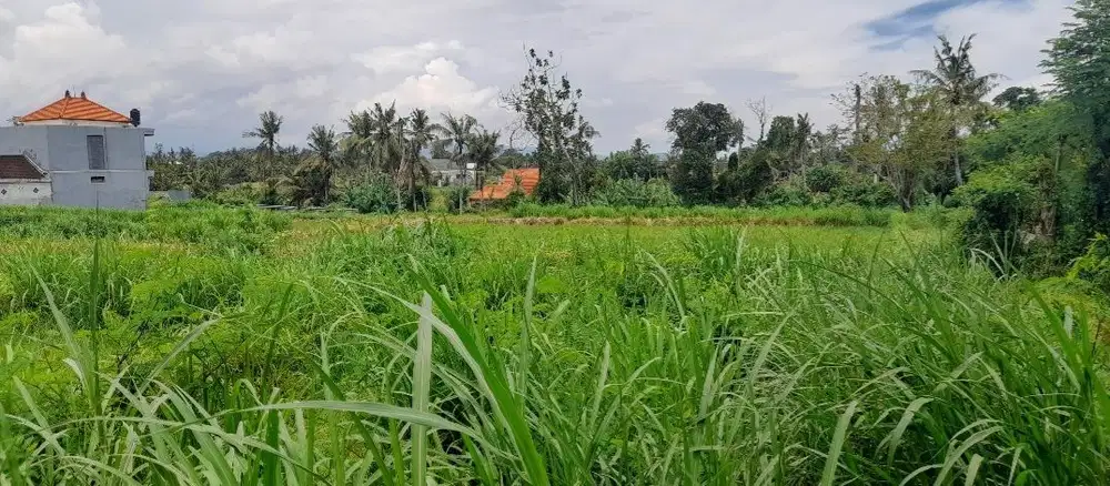 Tanah Murah Permata Pering Blahbatuh Gianyar Dekat Pantai Saba Ketewel