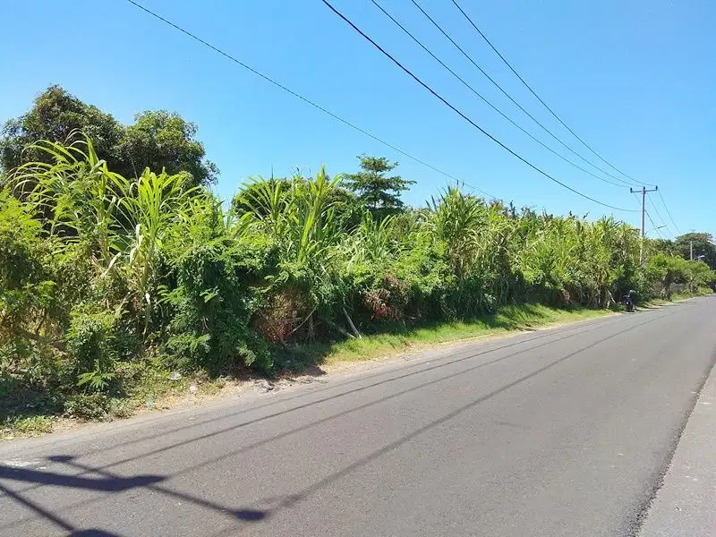 Disewakan tanah 40 are di kawasan wisata Sanur Bali