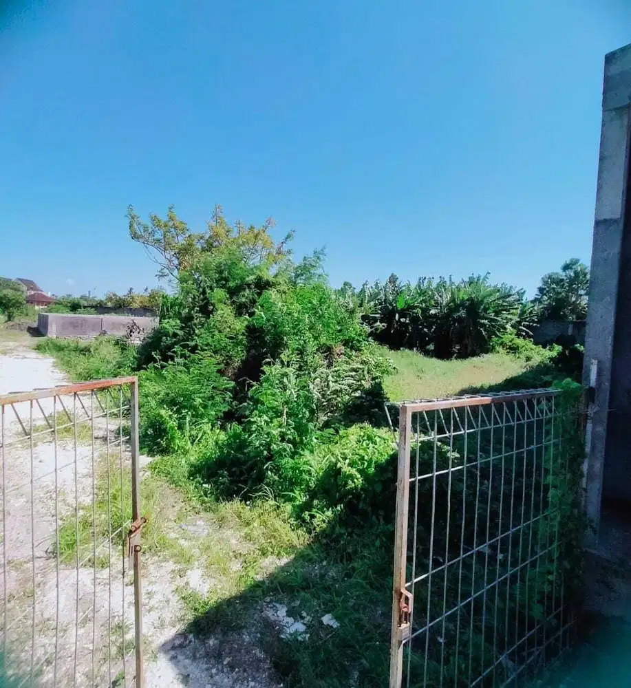 Tanah Jl Sri Kahyangan Canggu Berawa Kuta Utara Badung Bali