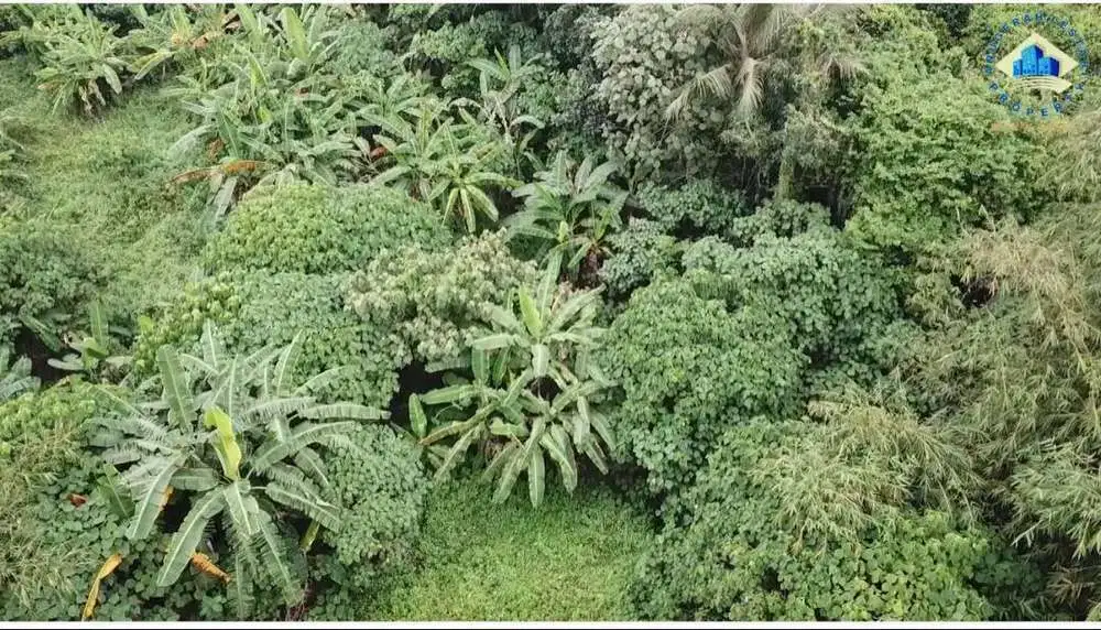 Jual Tanah Di pemda Tigaraksa - Kab. Tangerang, Banten