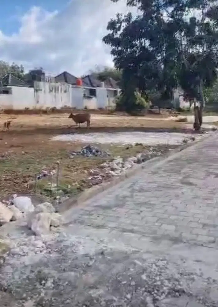 Tanah Premium di Lingkungan Tenang lokasi Ungasan