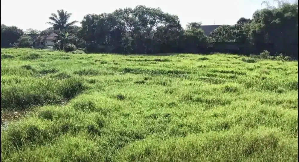 Jual Tanah di Desa Serdang Wetan, Legok - Tangerang Banten