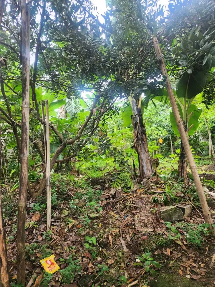 DIJUAL TANAH MURAH BOGOR