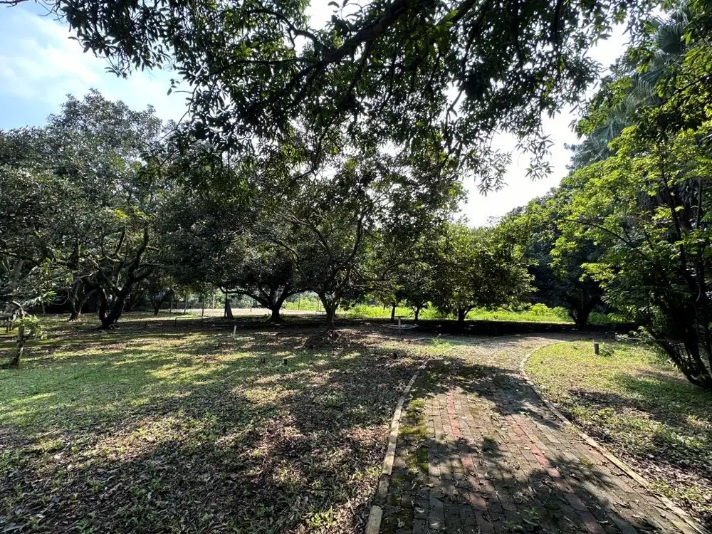 Tanah 6000 M2 Pinggir Jalan Raya Jl Anggrek Cinere