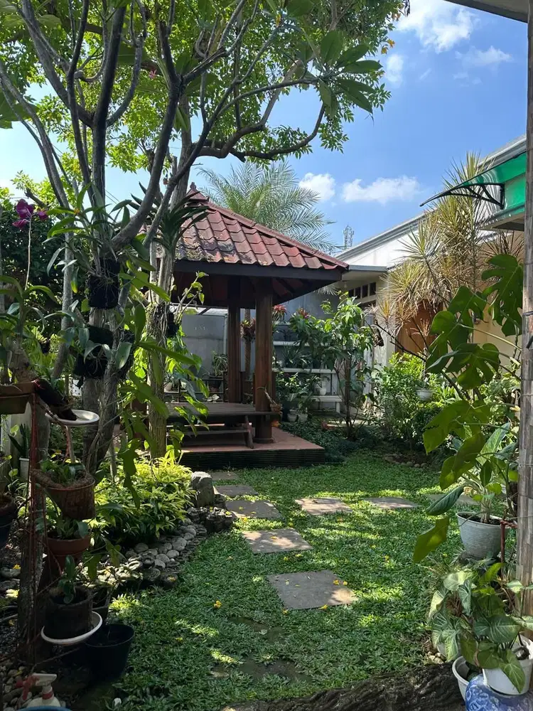 Dijual Rumah Asri Di Perumahan Cimanggu Permai Bogor