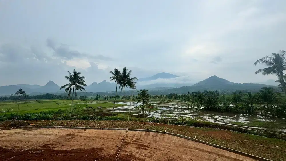 Tanah Kavling Free AJB Tanah Murah Tanah View Indah Tanah Nempel Jalan