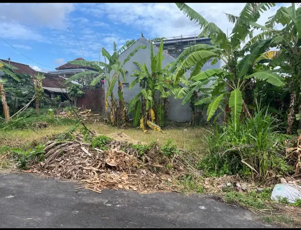 Dijual Tanah Murah – Lokasi Strategis Dekat Canggu