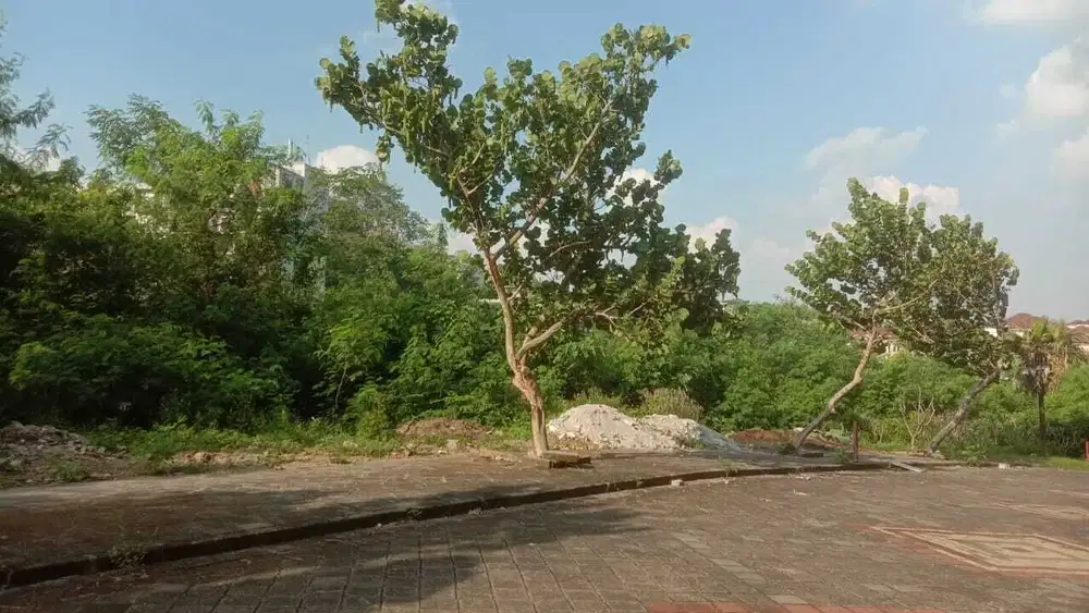 Tanah Dijual : Jl. Palm Hill Blok X, Semarang