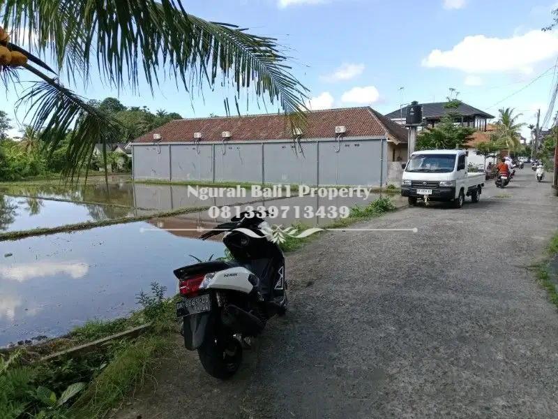 Disewakan Tanah Murah Luas  3380 m2 View Jungle di Tembongkang Ubud