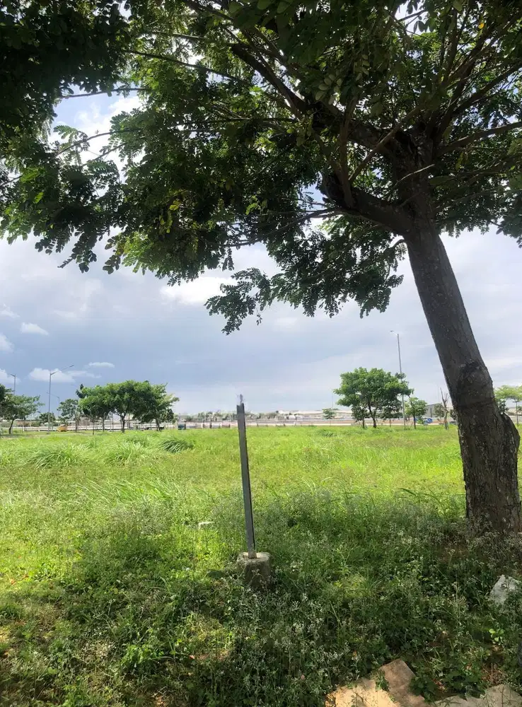 Di Jual Kavling Brooklyn Pik 2 Ukuran 15x30