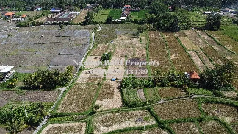 Dijual Tanah Murah  Luas Tanah 5400 m2 View Sawah Terasering di Ubud