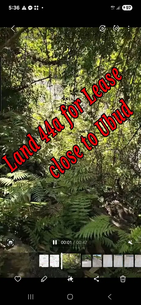 Land 44a for Lease at Silekarang Singapadu close to Ubud Bali