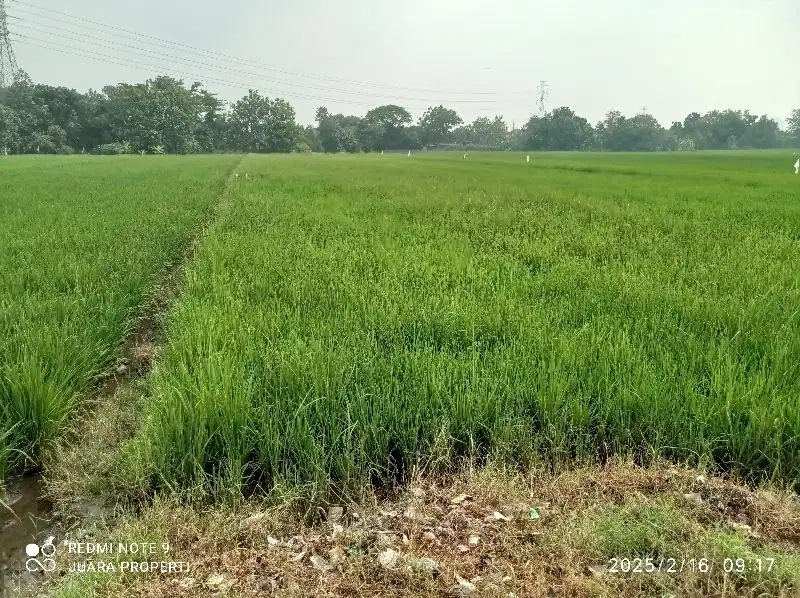 TANAH BENTAKAN BAKI DEKAT SOLO BARU