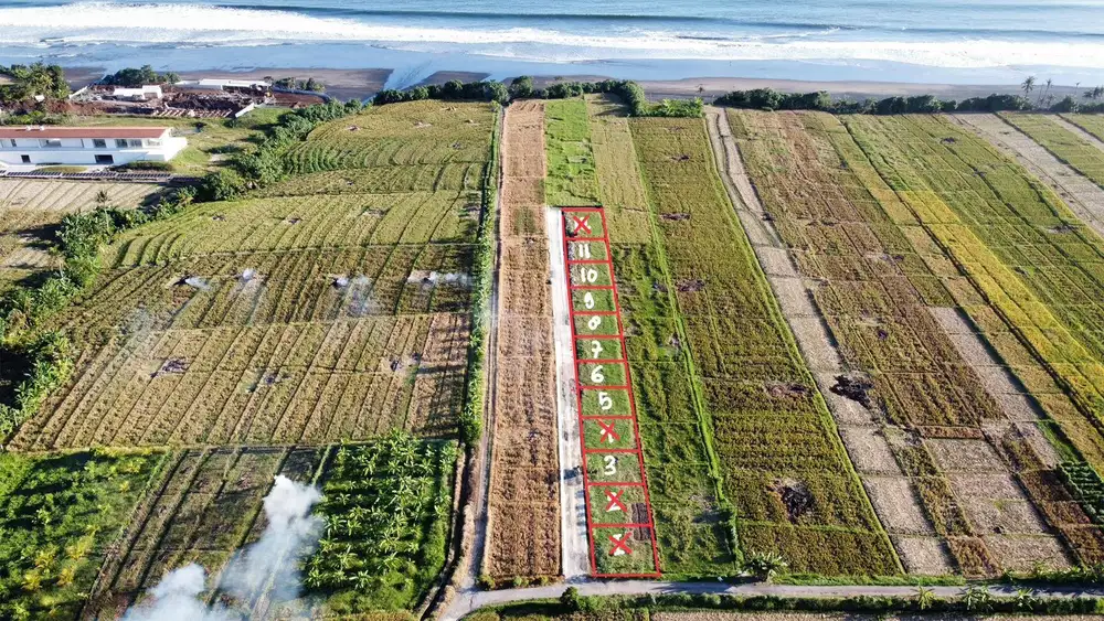 Premium Land Plots – Walking Distance to Pasut Beach, Tabanan